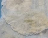 Foto langkah ke 7 dari resep Martabak Telur Jamur Tiram.