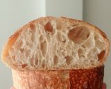Foto langkah ke 20 dari resep Basic Sourdough Bread 96% (Oven Tangkring).
