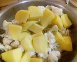 A picture of step 15 of Cauliflower and Potato.