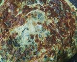 Foto del paso 7 de la receta: Tortilla de espinacas patatas cebolla y ajo