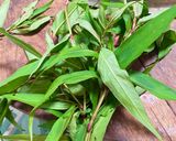 Hình bước làm 1 của món Thịt ngan canh nấm hương