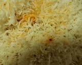 A picture of step 3 of Egg fried rice.
