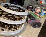 Pineapple Teriyaki Homemade Beef Jerky recipe step 4 photo