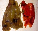 Foto del paso 4 de la receta: Salsa criolla cocida