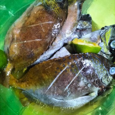 Langkah 1