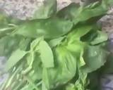 المرحلة 1
