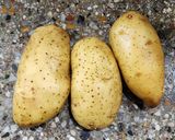 Foto del paso 1 de la receta: 🥔🥘 Ñoquis de papa y acelga rellenos de jamón y muzzarella 🥘🥔