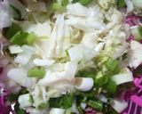 A picture of step 2 of Cabbage-Spring Onion Fry.