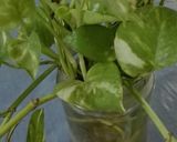 A picture of step 5 of Shakar Qandi (Sweet potatoes).