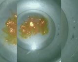 A picture of step 1 of Chicken Tikka Biryani.