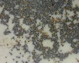 A picture of step 2 of Masala Chai.