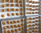 Foto langkah ke 4 dari resep Nastar.