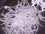 Sopa de cebolla
