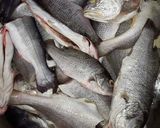 A picture of step 2 of Fresh fish soup.