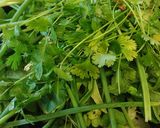 A picture of step 1 of My Spring Greens & Chilli Chutney.