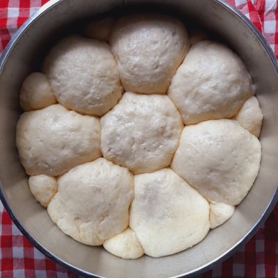 Langkah 6