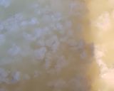 A picture of step 3 of Homemade paneer cheese.