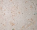 A picture of step 2 of Mooli parantha.