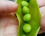 Foto del paso 1 de la receta: Ensalada rusa al vapor