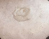 A picture of step 1 of Coconut semaya kheer.