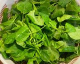 辣炒芥菜苗的食譜步驟1照片