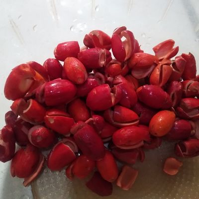 Langkah 1