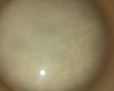 Foto del paso 1 de la receta: Arroz con leche 🍚🥄