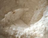 દહીં વડા (Dahi Vada Recipe In Gujarati) રેસીપી સ્ટેપ3ફોટો