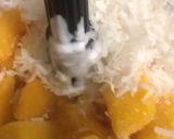 Foto del paso 1 de la receta: Helado de mango con coco