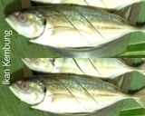 Foto langkah ke 1 dari resep Pepes Ikan Kembung Daun Kemangi.