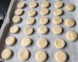Foto del paso 3 de la receta: Nevaditos en Mambo