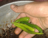 தஞ்சாவூர் வதக்கி அரைத்த சட்னி ரெசிபி ஸ்டேப் 3 புகைப்படம்