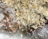 Foto del paso 1 de la receta: Trufas de coco fit 🥥 | Receta saludable