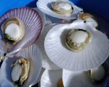 Foto langkah ke 1 dari resep 47. Kerang Simping Saus Padang.