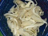 Jamur Krispi