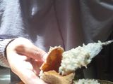 Tahu Walik Simple dan Sederhana