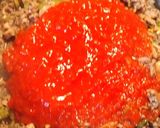 A picture of step 11 of Rigatoni and Sauce.