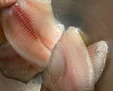 Foto del paso 1 de la receta: Tacos de pescado estilo Ensenada