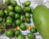 Gunda-Keri Aachar (Glue Berry And Mango Pickle) recipe step 1 photo