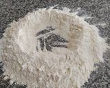 Foto del paso 2 de la receta: Pizzas hechas en casa