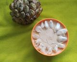 A picture of step 5 of Sitaphal Basundi & Kulfi.