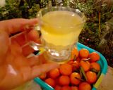عکس مرحله 1 از دستور شربت نارنج خوشمزه و ارگانیک 😋