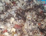 A picture of step 5 of Creamy Mayonnaise salad.