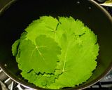 Foto del paso 13 de la receta: HOJITAS De Parra,(Dolma) rellenas de Pechuga molida de Pollo...!