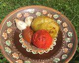 A picture of step 2 of Heritage tomato salsa.