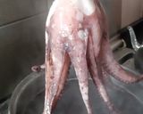 Foto del paso 2 de la receta: Cazuela de mariscos 🦑