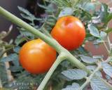 SAMBAL DADAK / Sambal MENTAH / sambal segar langkah memasak 6 foto