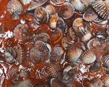 Foto langkah ke 3 dari resep Kerang Dara Saos Padang.