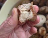 Foto del paso 3 de la receta: Chuño 🥔 papa ancestral del altiplano andino 🥔congelada y deshidratada de forma natural 🥔