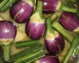 A picture of step 1 of Stuffed Brinjal Drumstick Sabzi.